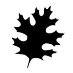 37f0d30a445a4689bc70658ca333c208