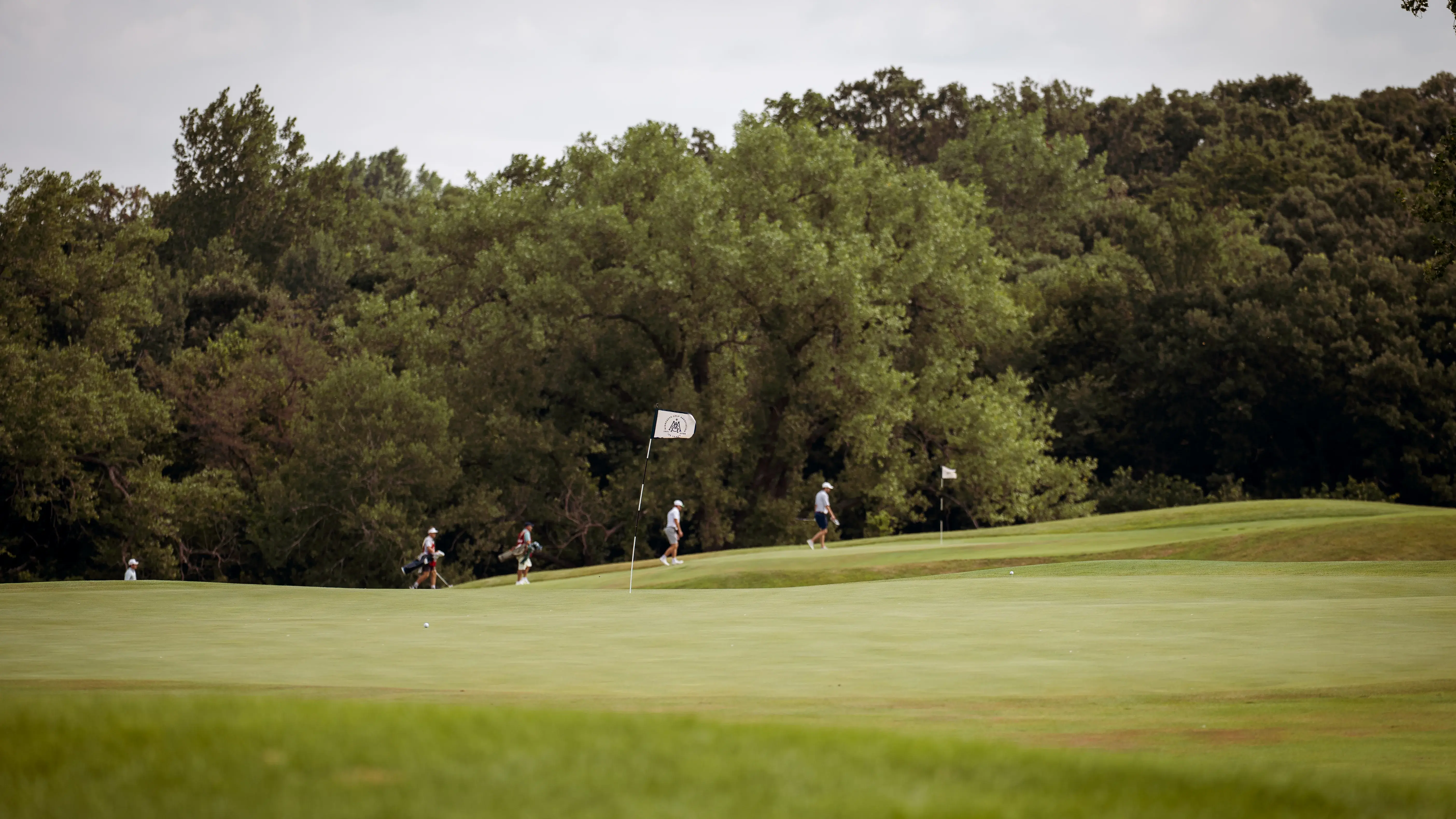A Strong Back Nine Puts Udovich on Top of the Leaderboard at MGA Amateur Championship